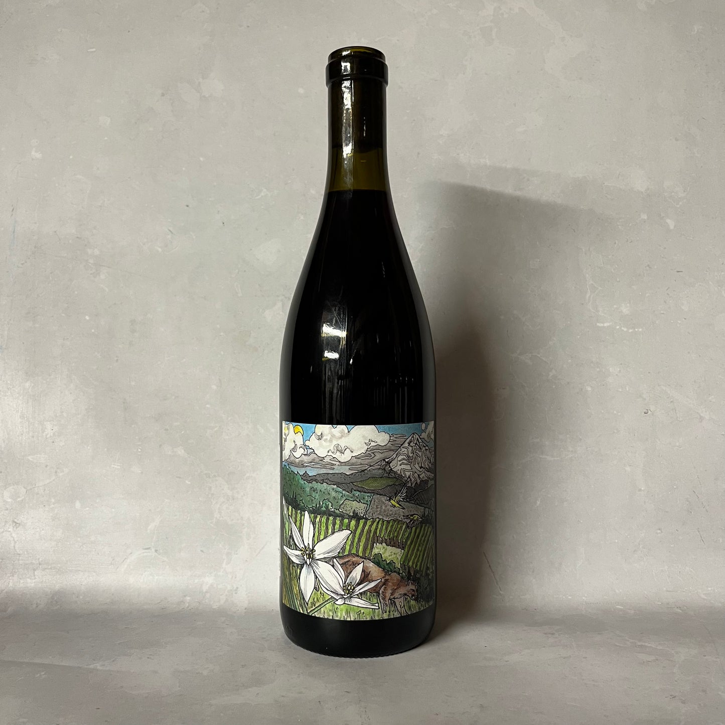 2023 MIRABAI PINOT NOIR