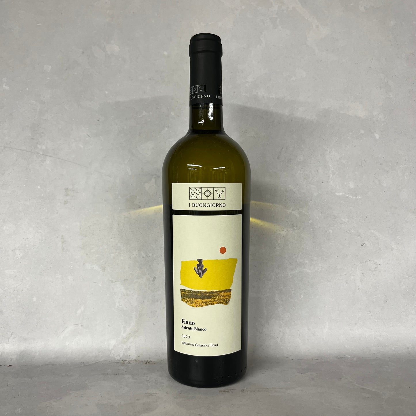 2023 FIANO