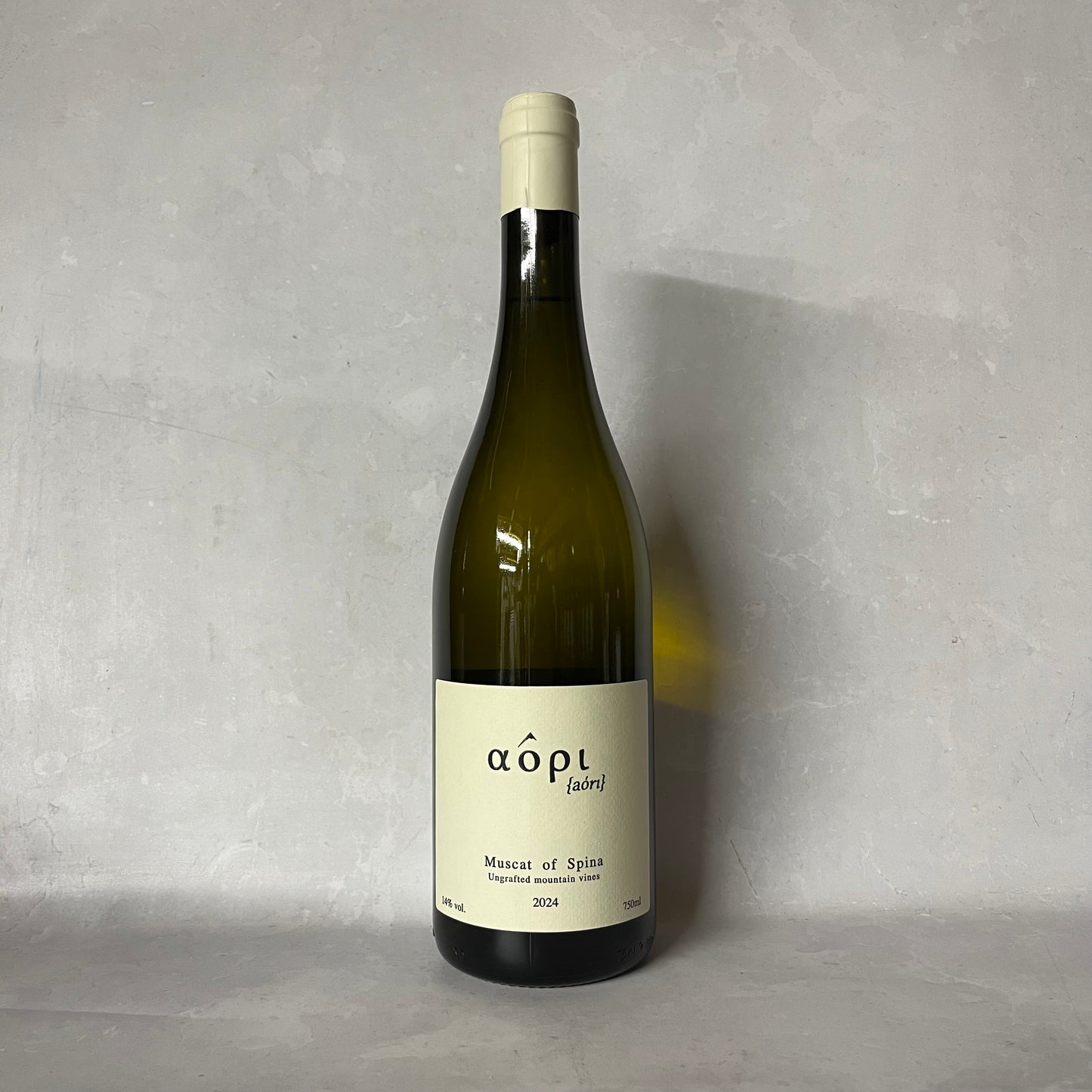 2024 MUSCAT OF SPINA