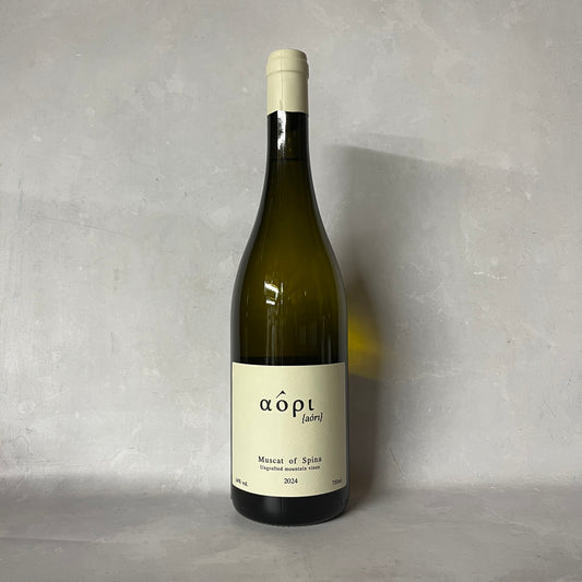 2024 MUSCAT OF SPINA